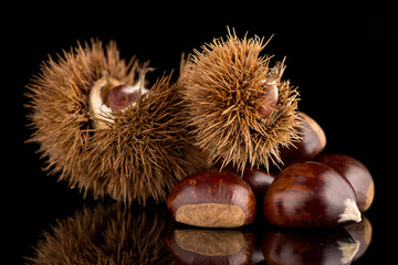 Chestnuts on a black reflective background