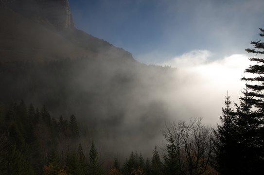 Fototapeta Ombres et brouillard