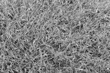 abstract line texture background