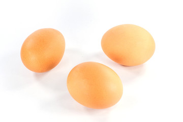 chicken egg