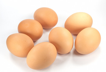 chicken egg