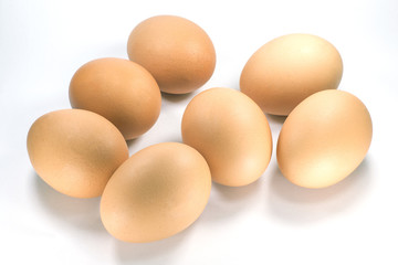 chicken egg