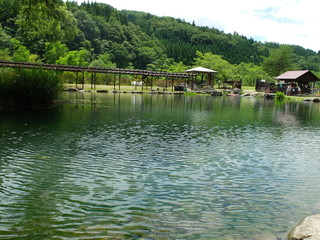 森の中の水辺　沼　池　　釣り堀