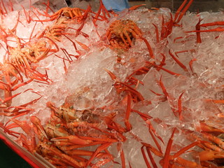 ズワイガニ,海鮮市場