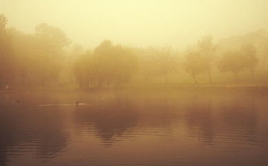 Vintage photo of an autumn park