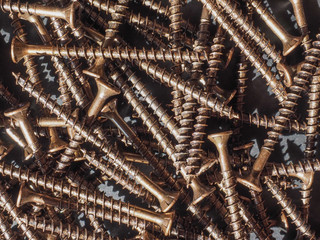 Wood screw