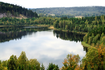 A lake in the forest