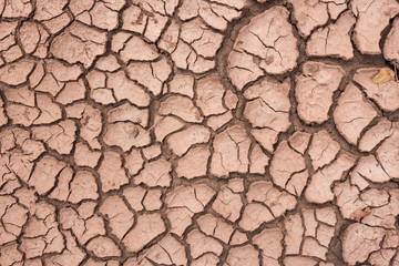Dry cracked soil