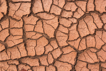 Dry cracked soil
