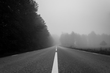 Fog down a road in autumn