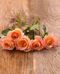Lying down branch rose on wooden background
