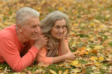 Fototapeta premium happy senior couple