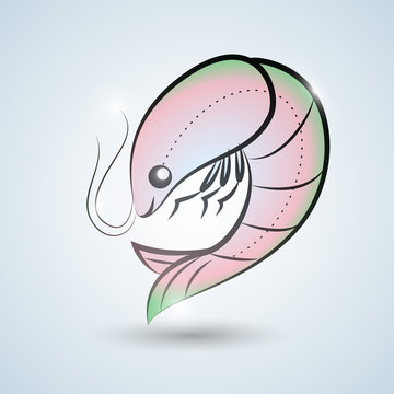Hand drawn syle chrimp icon template