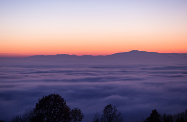 sunset over fog in Black Forest, Germany