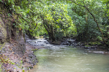 River in dschungle of Panama