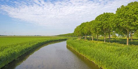 Fototapeta na wymiar Canal through a rural landscape in spring