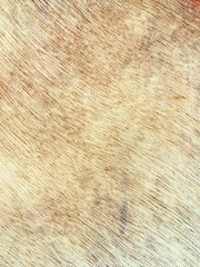 old dirty wooden board texture