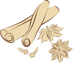 Set of images of the cinnamon, cloves, anise.
