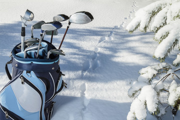Extreme Golf in snowy forest