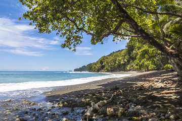 Fototapeta na wymiar Beach and jungle in Costa Rica