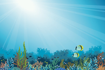 Naklejka premium Coral reef with fish. Underwater sea.