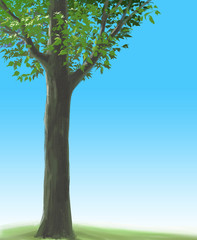 夏の木