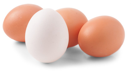eggs isolated on white background close up