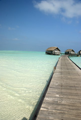 Maldivian lagoon with bungalow