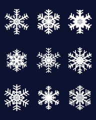 Set of different white snowflakes, vector illustration