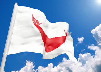3D realistic waving flag of Easter Island - Rapa Nui