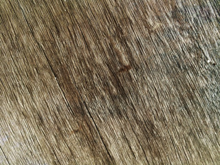 wood board texture