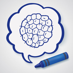 Custard apple doodle