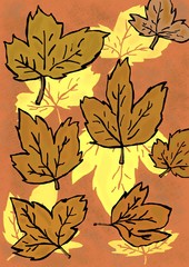 Autumn leaves