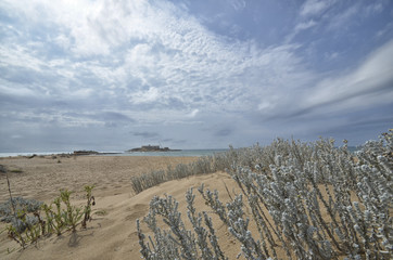 Mediterranean sea from the Sicilian dunes