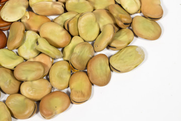 Seeds of broad bean with months of drying. Blank space at bottom right