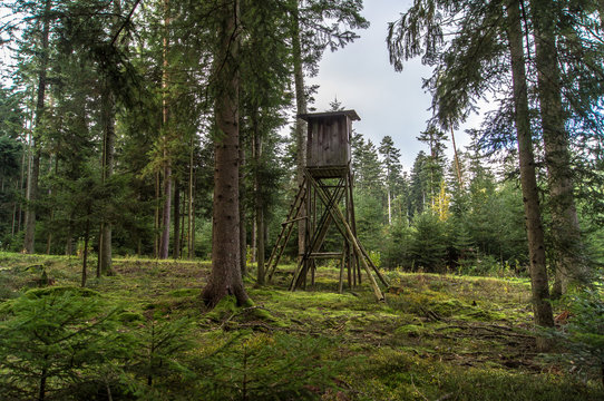 Hochsitz eines J&auml;gers