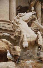 Horse Statue, Trevi Fountain in Rome