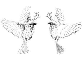 Illustration of flying birds.