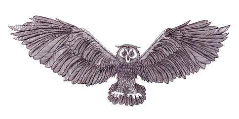 Obraz premium Graphic illustration of flying owl. Black and white style. Hand