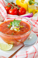 Gazpacho soup and ingredients 