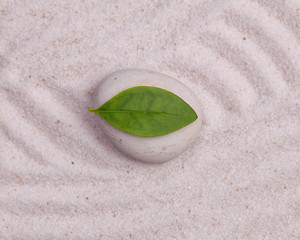Close up of white stone and green  leaf  in the white sand