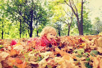 cute little girl playing with autumn fall