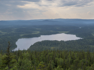 Fototapeta na wymiar Paanaj?rvi National Park, Karelia Summer water landscape. Top view lake from Mount Kivakka