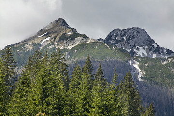 Obraz premium View of the Triglav with Pokljuka Plateau. Slovenia 