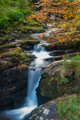 waterfall during autumn in Killarney national park