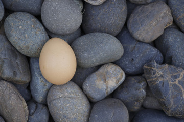 Fototapeta na wymiar Egg on the black stone