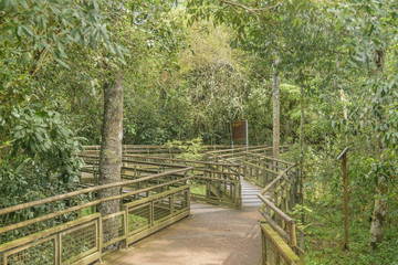 Bridge at Iguazu Park Argentinian Border