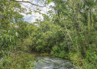 Fototapeta na wymiar Parana River at Iguazu Park
