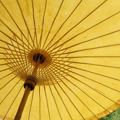 thai unbrella