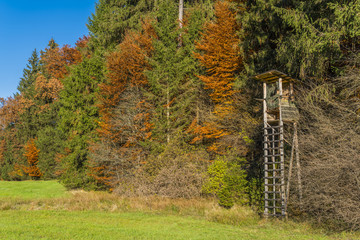 Jägersitz am Waldrand im goldenen Herbst